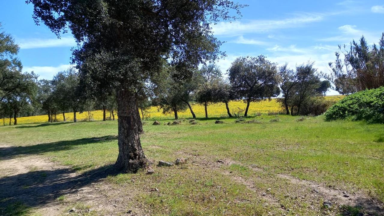 Monte Da Serralheira Agro Turismo Évora Esterno foto