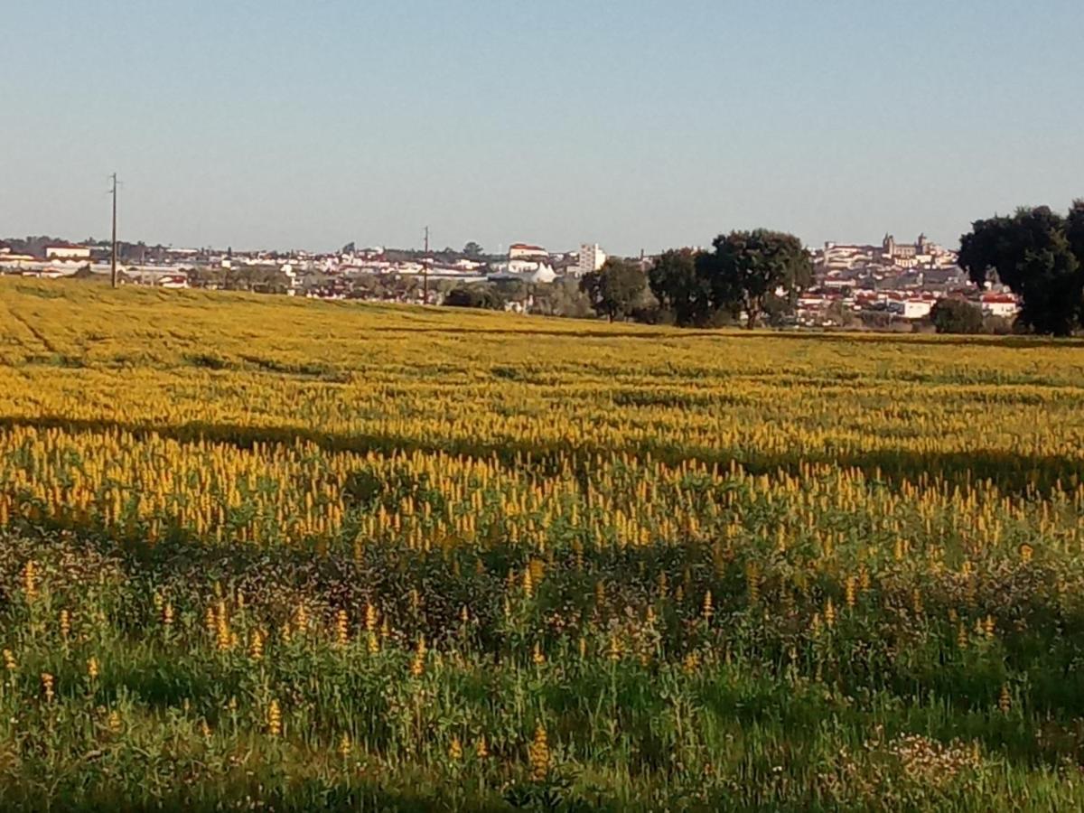 Monte Da Serralheira Agro Turismo Évora Esterno foto