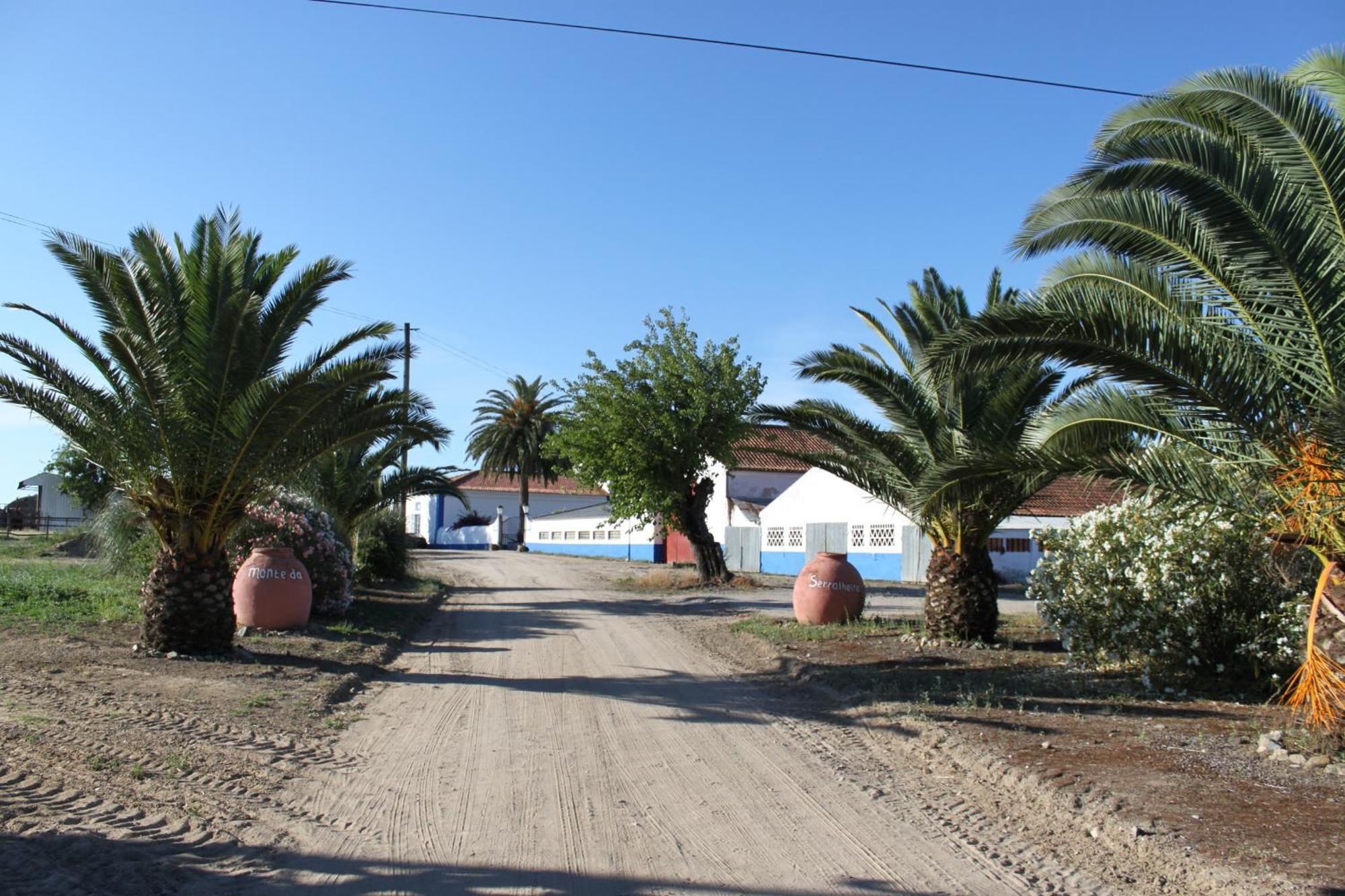 Monte Da Serralheira Agro Turismo Évora Esterno foto
