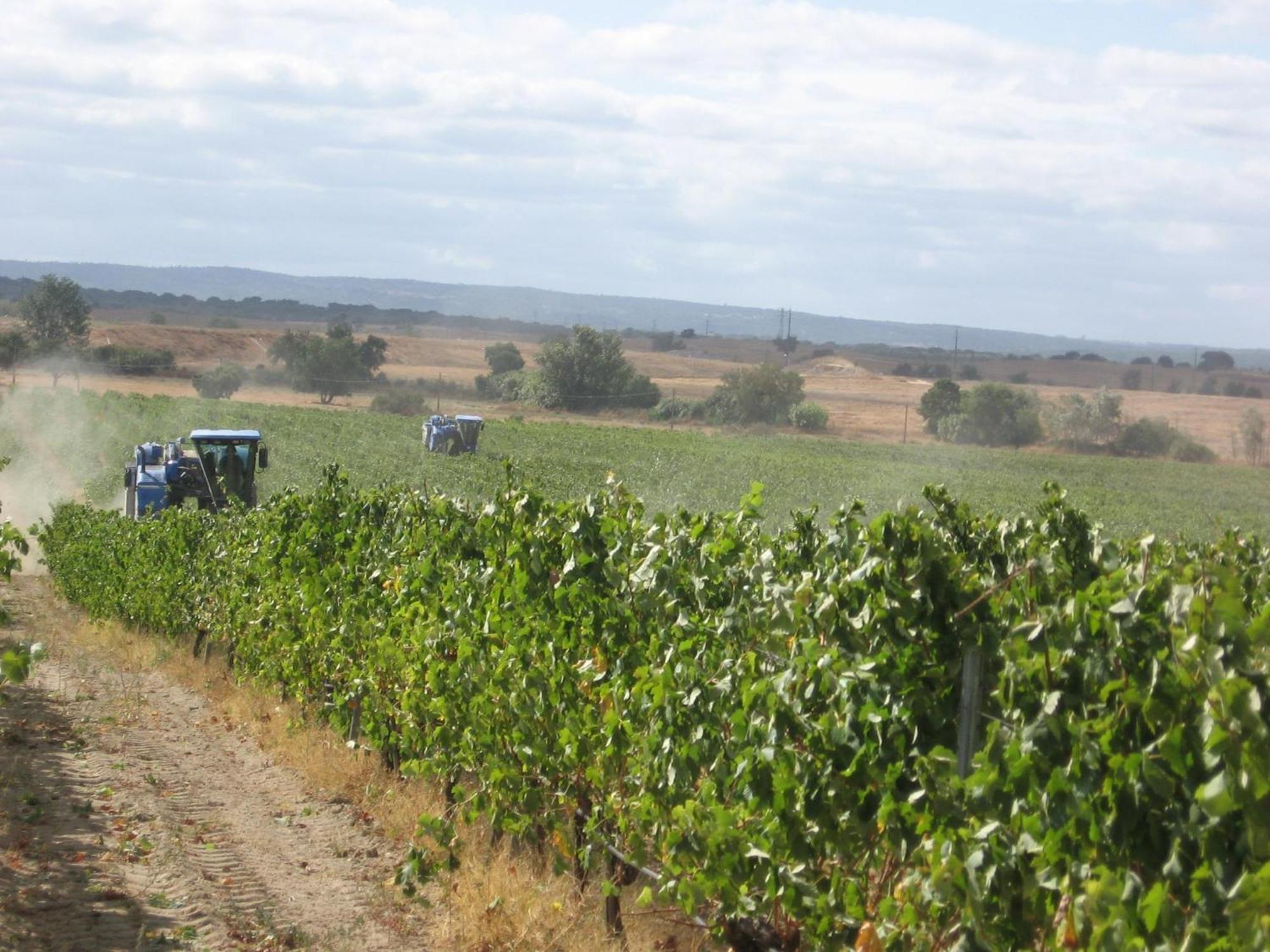 Monte Da Serralheira Agro Turismo Évora Esterno foto